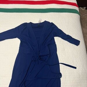 Ann Taylor Royal Blue Garment